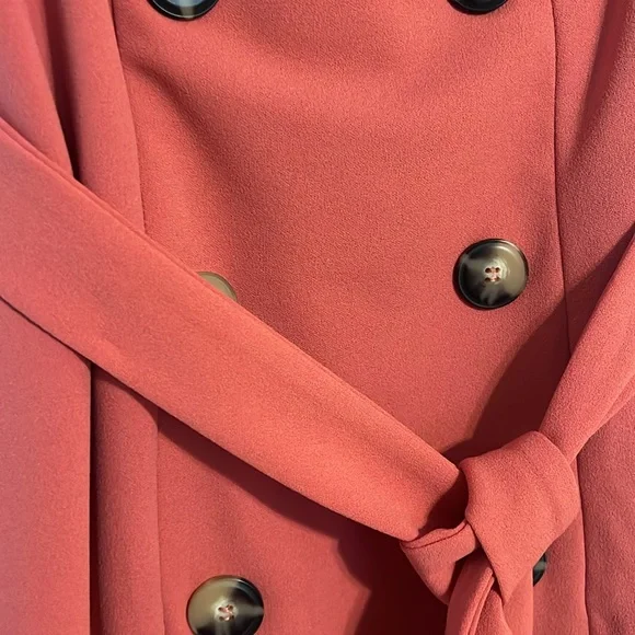 Elegant Terracotta Sleeveless Dress Size 2 - Picture 5 of 11